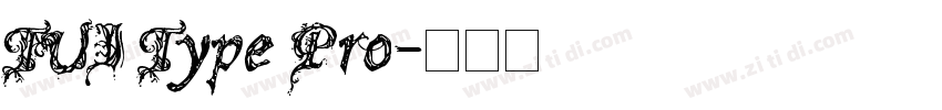 TUI Type Pro字体转换